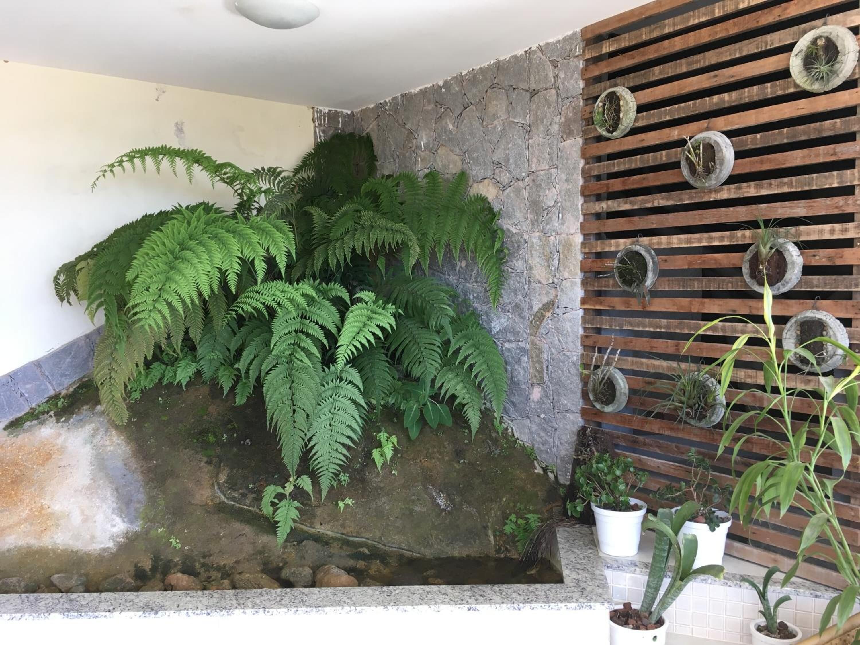 A stone wall with ferns and a wooden slatted wall with potted plants.