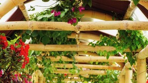 Ein Weg, der von Bambuskonstruktionen mit hängenden Pflanzen und Blumen gesäumt wird.