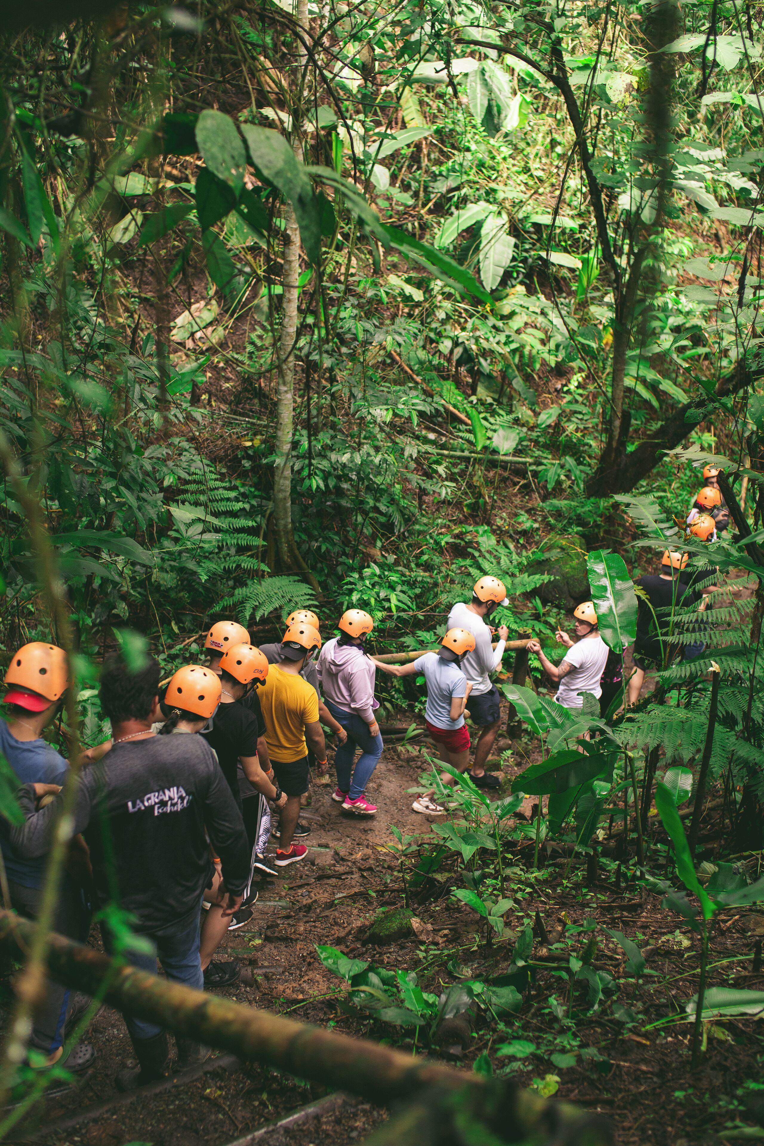 Un grupo de personas con cascos en un área boscosa.