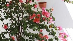 A potted plant with pink flowers, a white plastic chair, and a table with a placemat and two small bowls. - Bnb Dragonetti (Manduria)