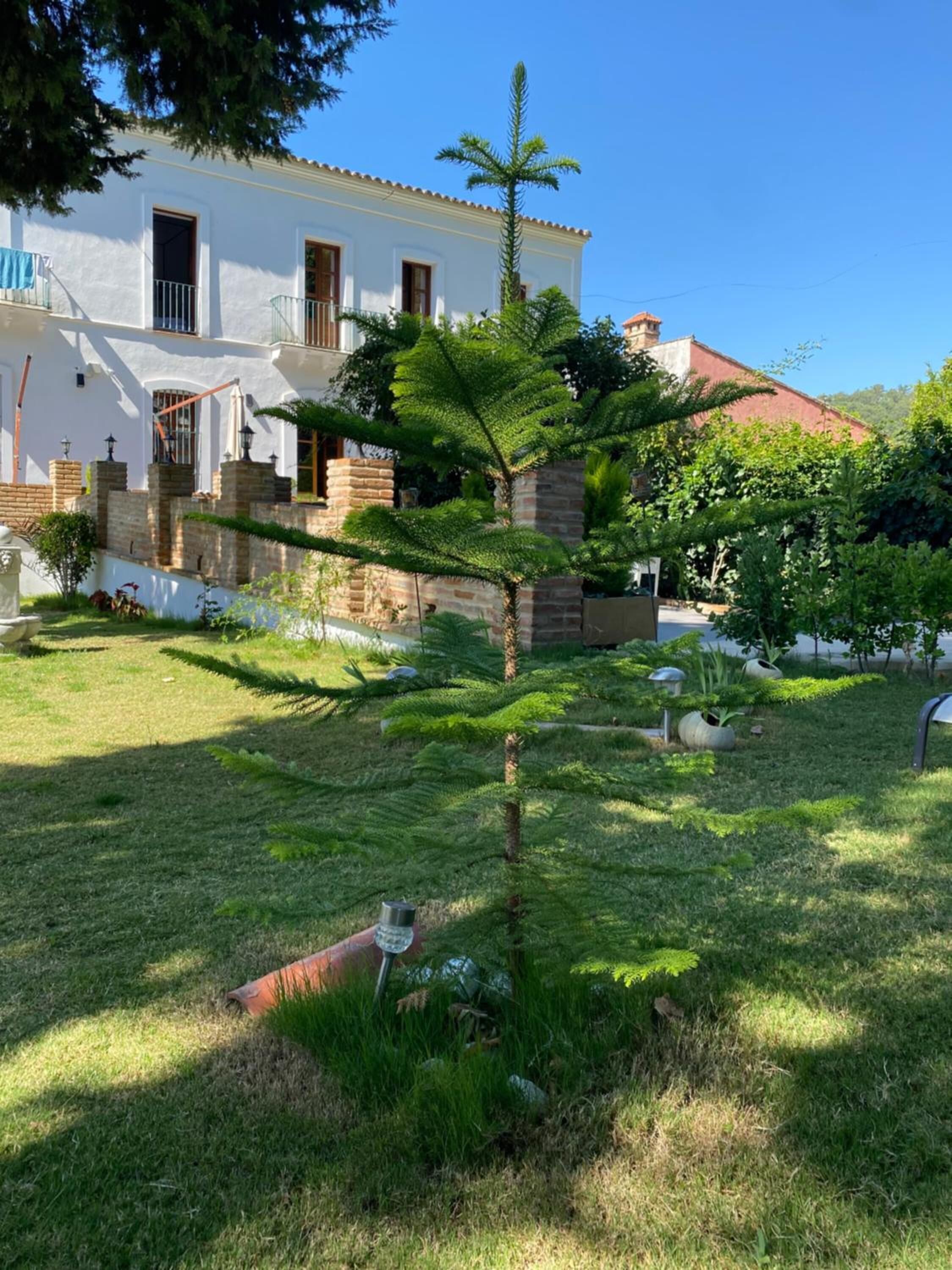 Un edificio blanco con techo rojo, rodeado de un jardín bien cuidado con diversas plantas y un pequeño árbol.