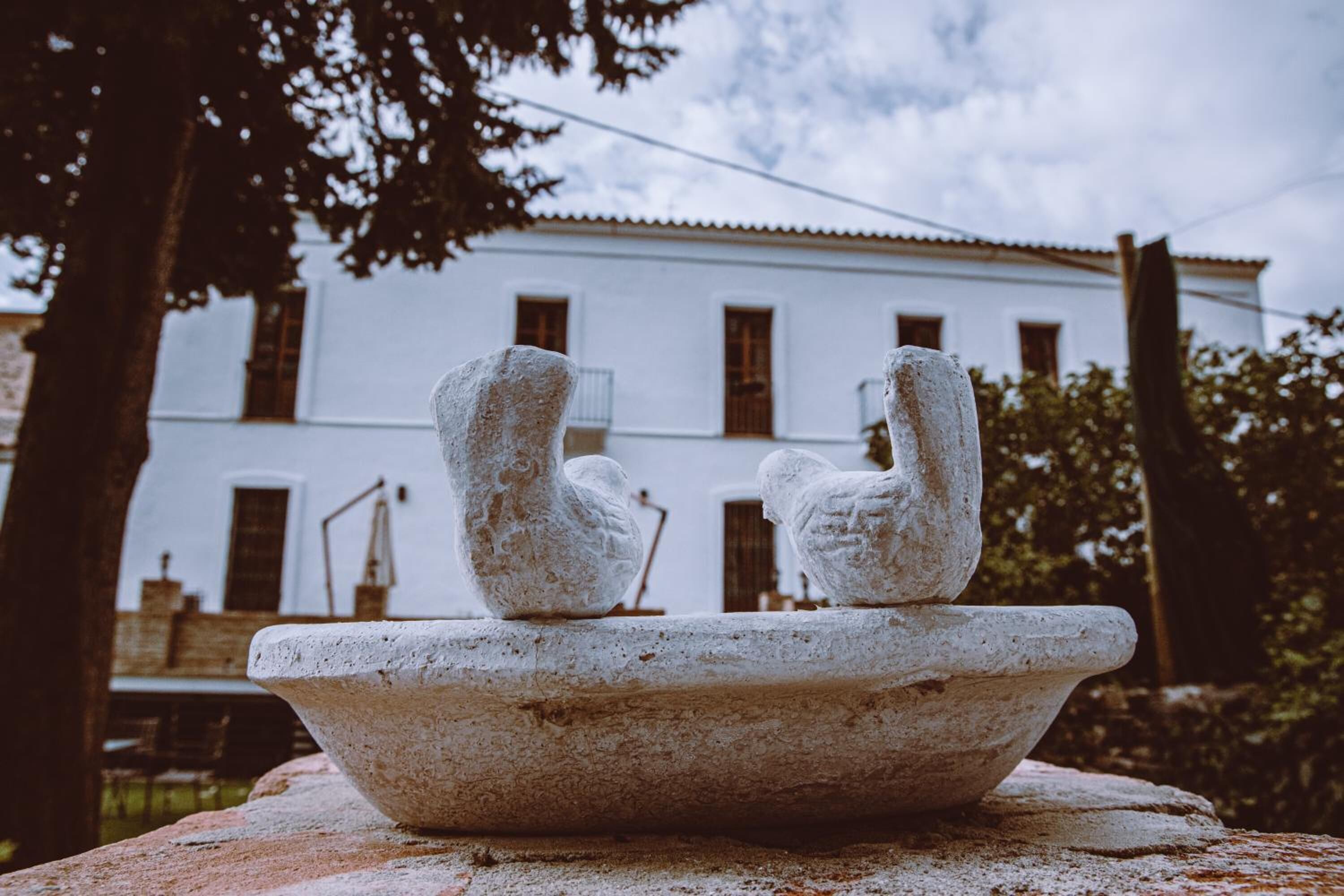 Una fuente de piedra con dos esculturas de cisnes frente a un edificio blanco con múltiples ventanas.