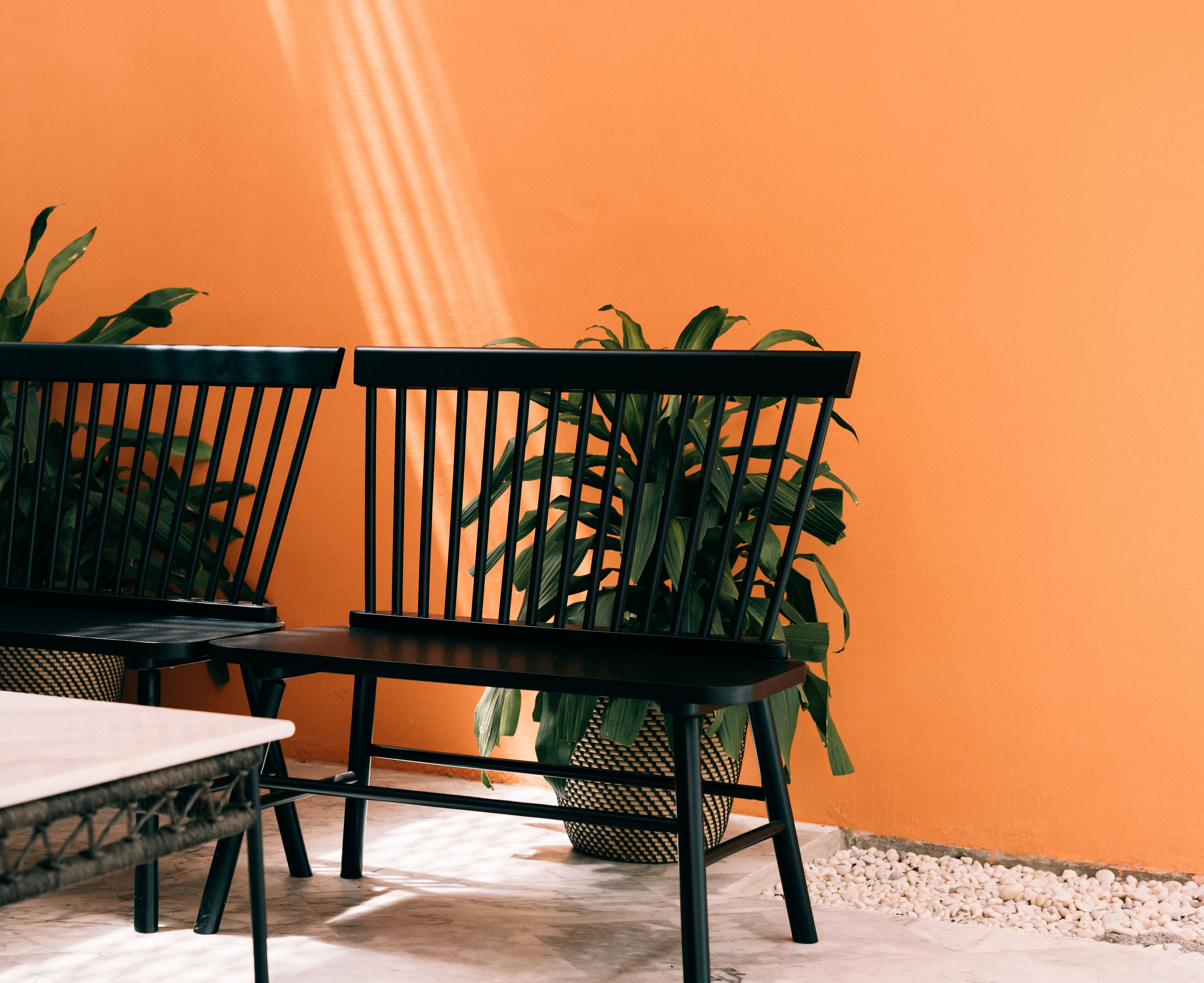 Un comedor con una mesa, sillas, una planta en maceta y una pared naranja.