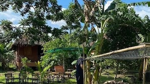 Un entorno exterior tranquilo con un pequeño muelle y un bote, rodeado de abundante vegetación y una estructura con techo de paja.