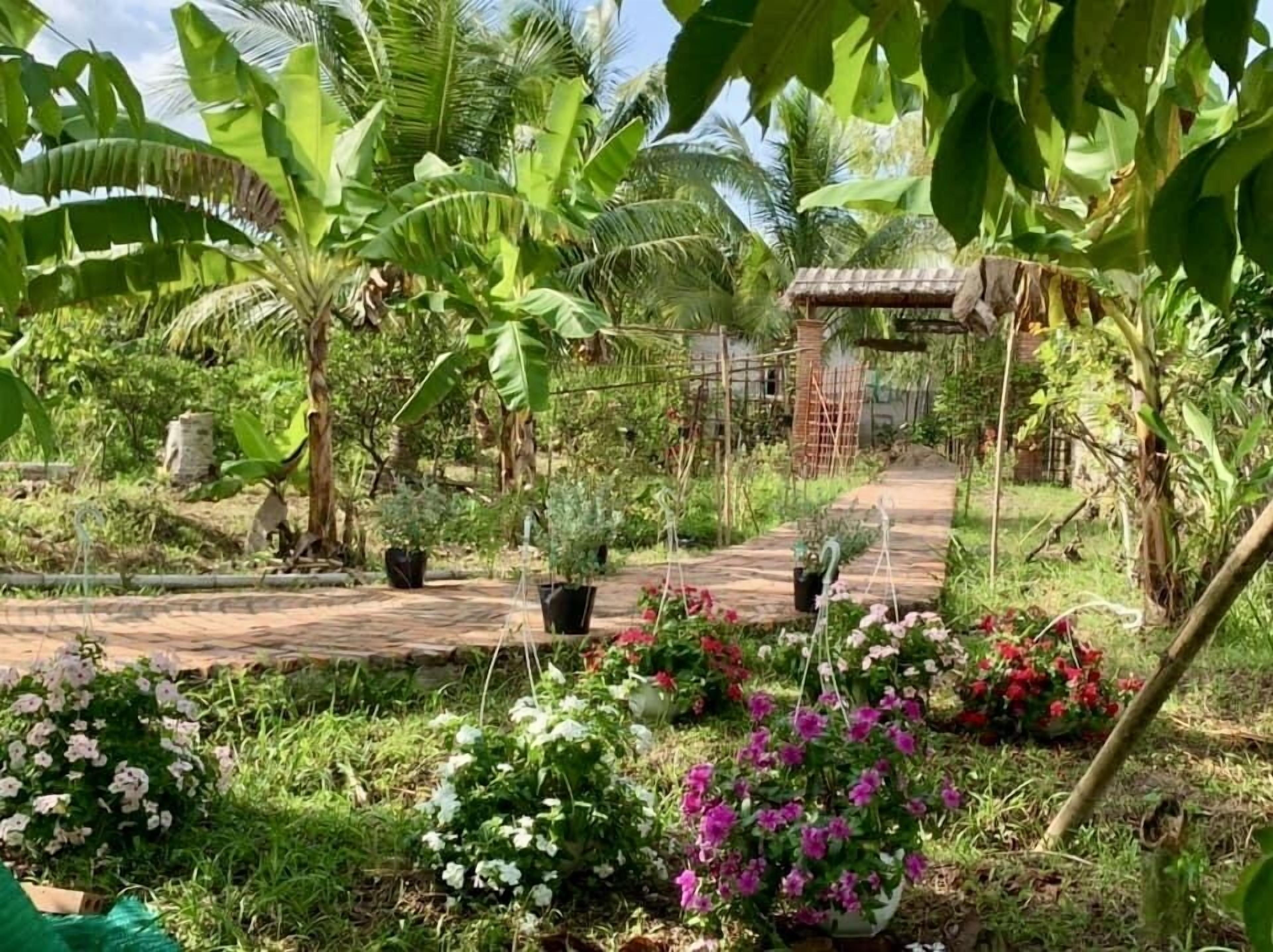 A garden with various plants and flowers, a pathway, and a structure in the background.