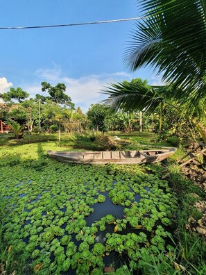 A pond with lily pads and a wooden boat. - Mekong Daniel Bungalow (Can Tho)