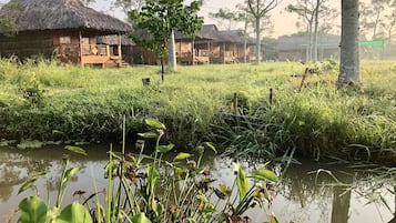 Taman