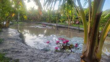 A serene pond with lotus flowers and palm trees.