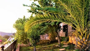 Puutarha