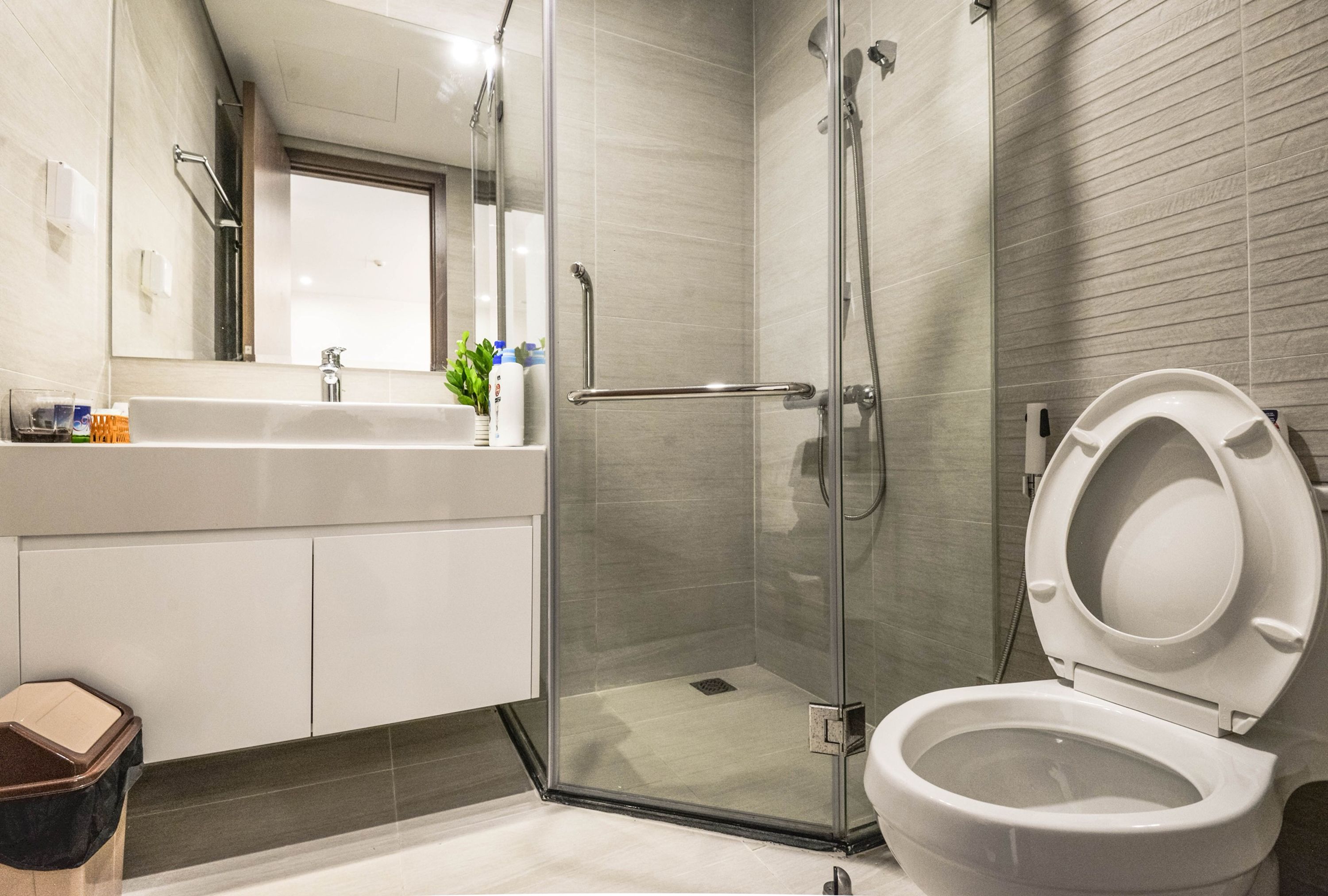 A modern bathroom with a glass-enclosed shower, a white toilet, and a vanity with a mirror.