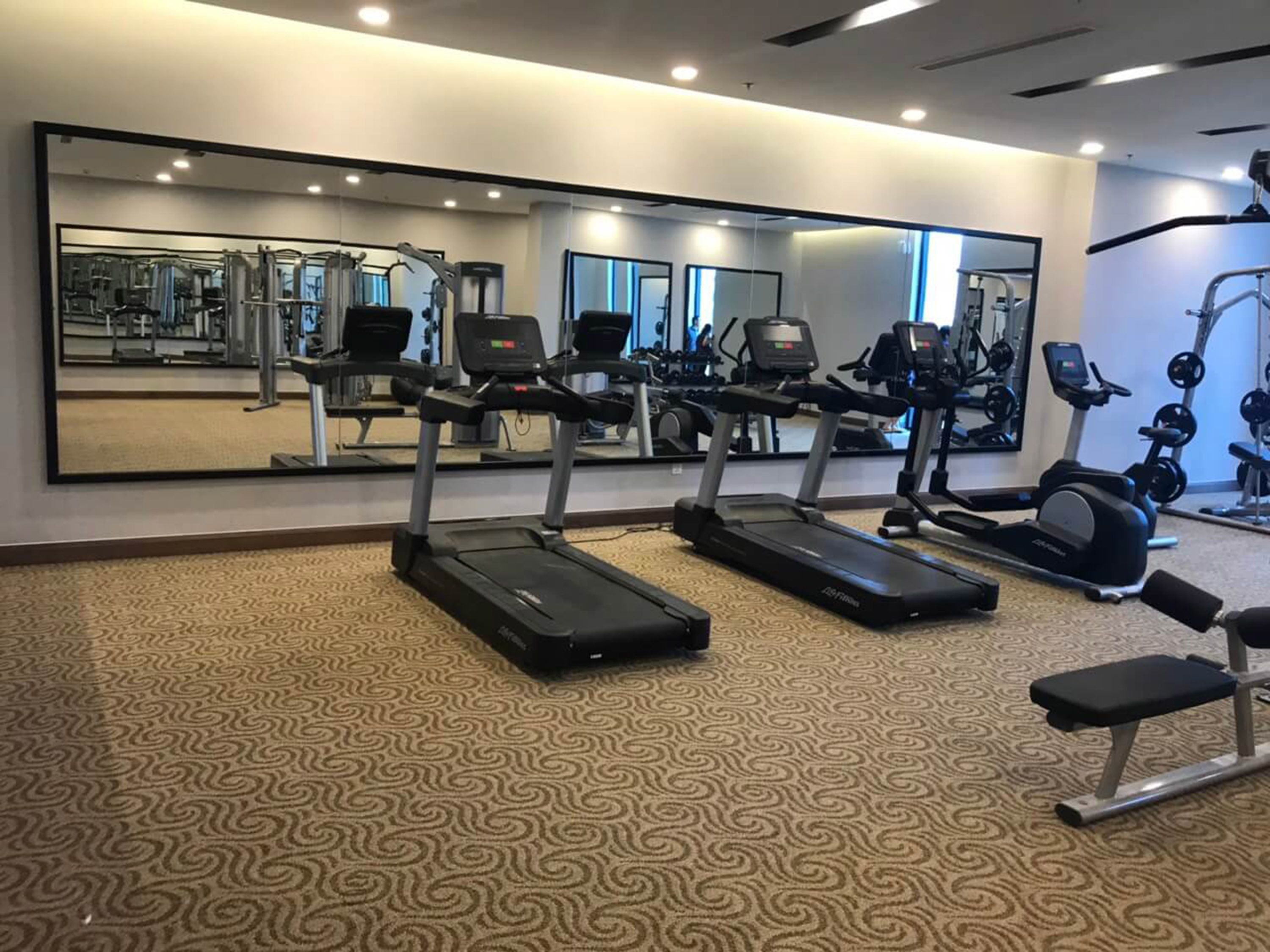 Un gimnasio con cintas de correr, banco y equipo de ejercicio.