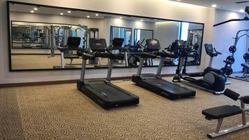 A gym with treadmills, a bench, and exercise equipment.