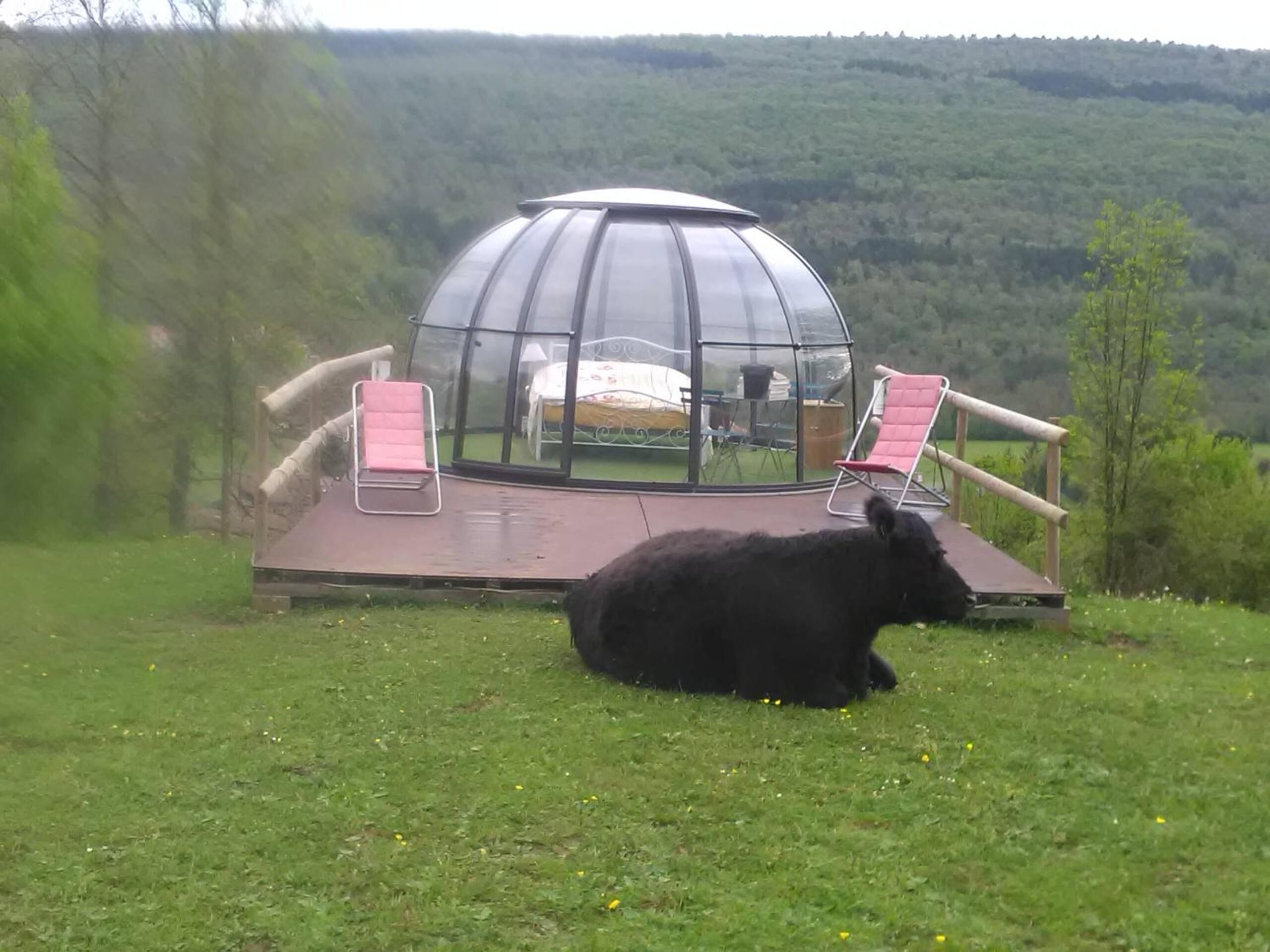 Enceinte de l’hébergement
