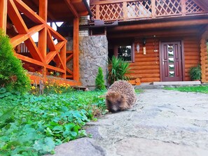 View from property - Guest House Family Green (Sasivka)