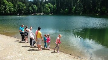 Ecotours