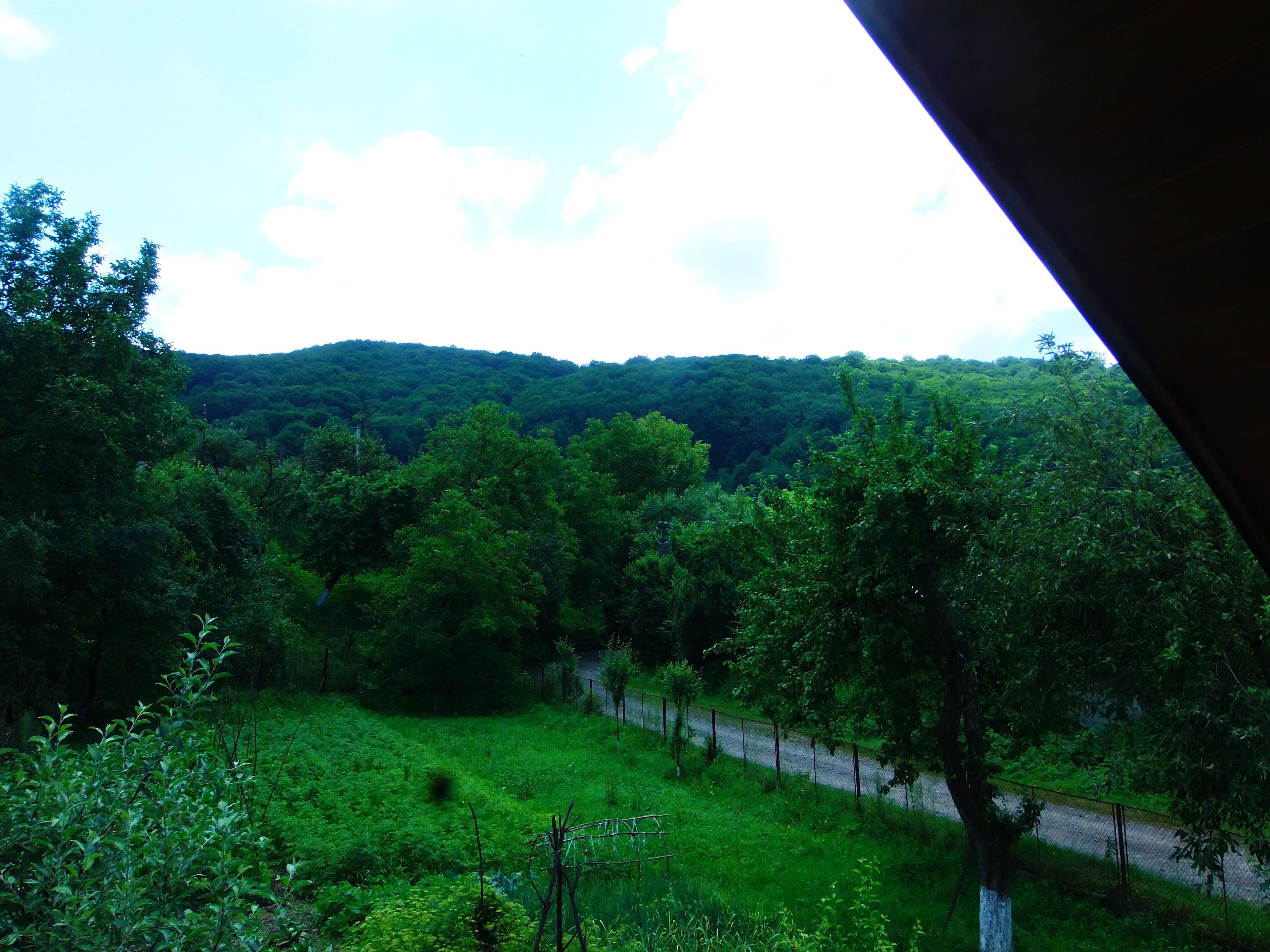 A lush green landscape with a road running alongside.