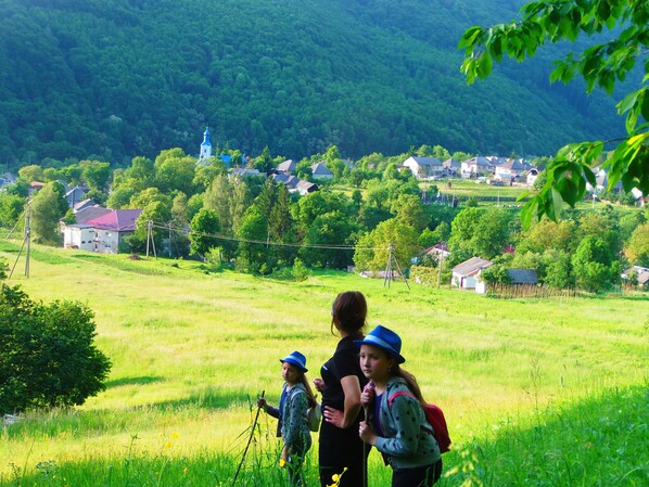 A rural landscape with a small village, houses, and a church. - Guest House Family Green (Sasivka)