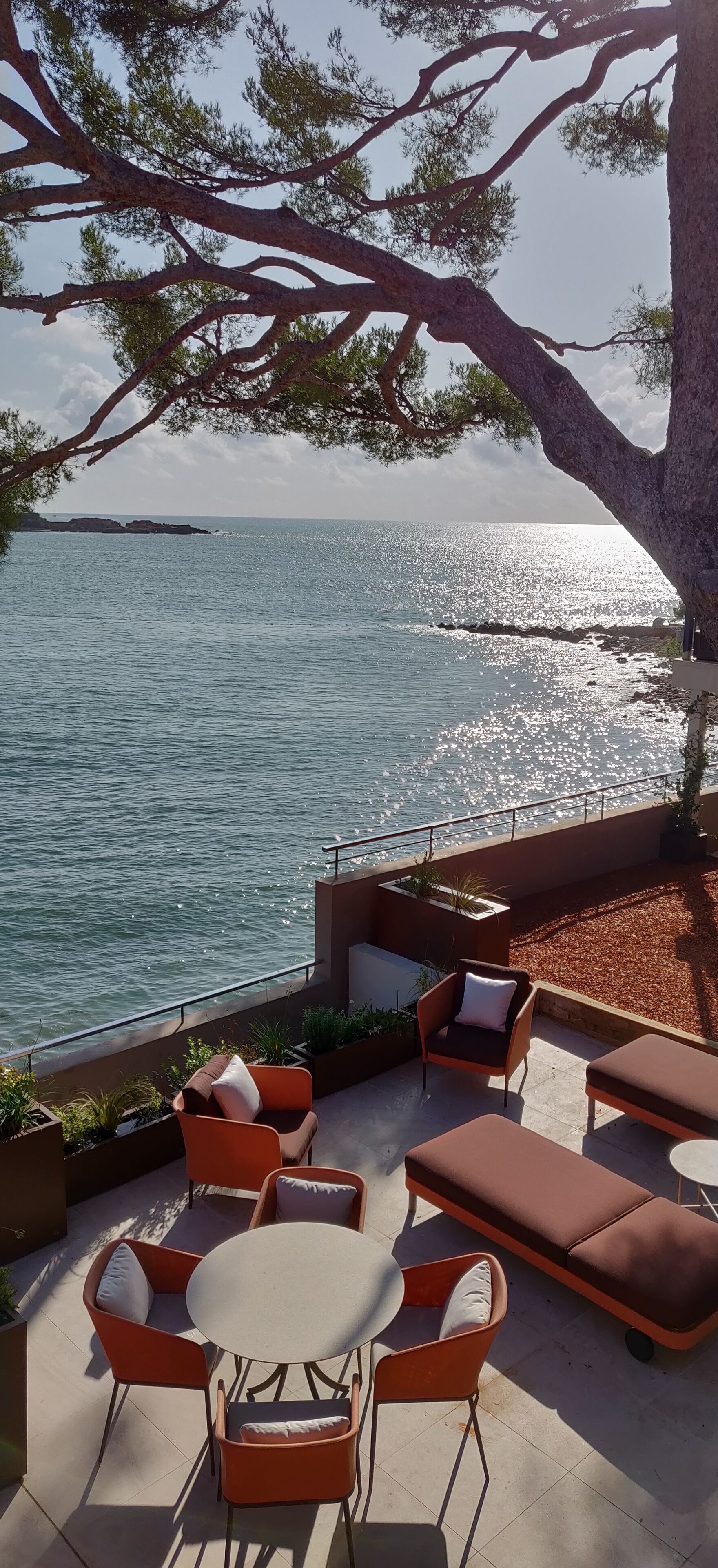 Um terraço com mesas ao ar livre, vista para o mar e uma árvore que oferece sombra.