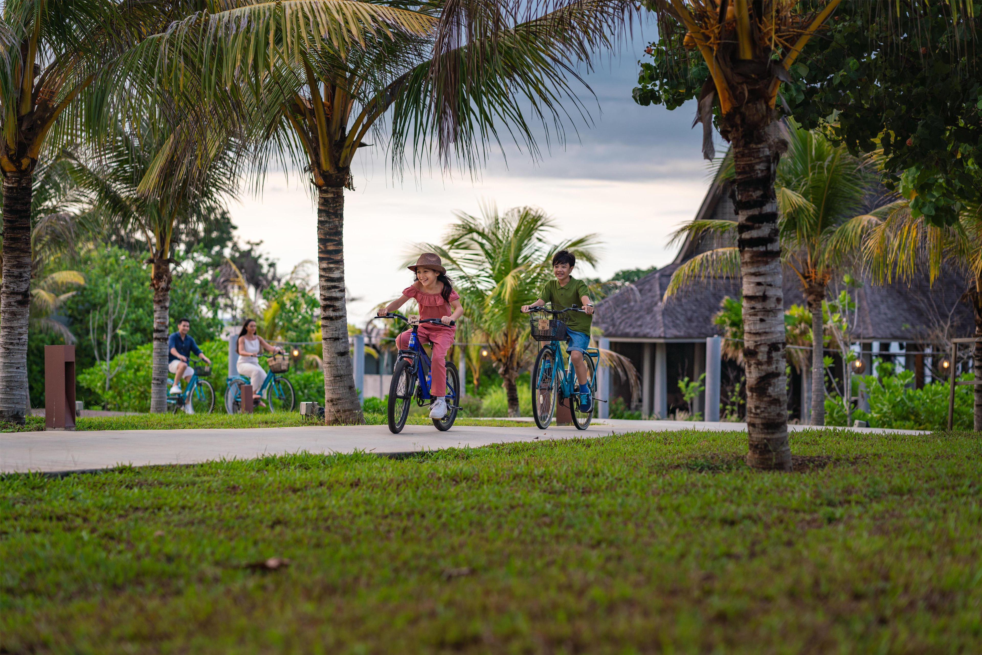 A pathway lined with palm trees and bicycles.