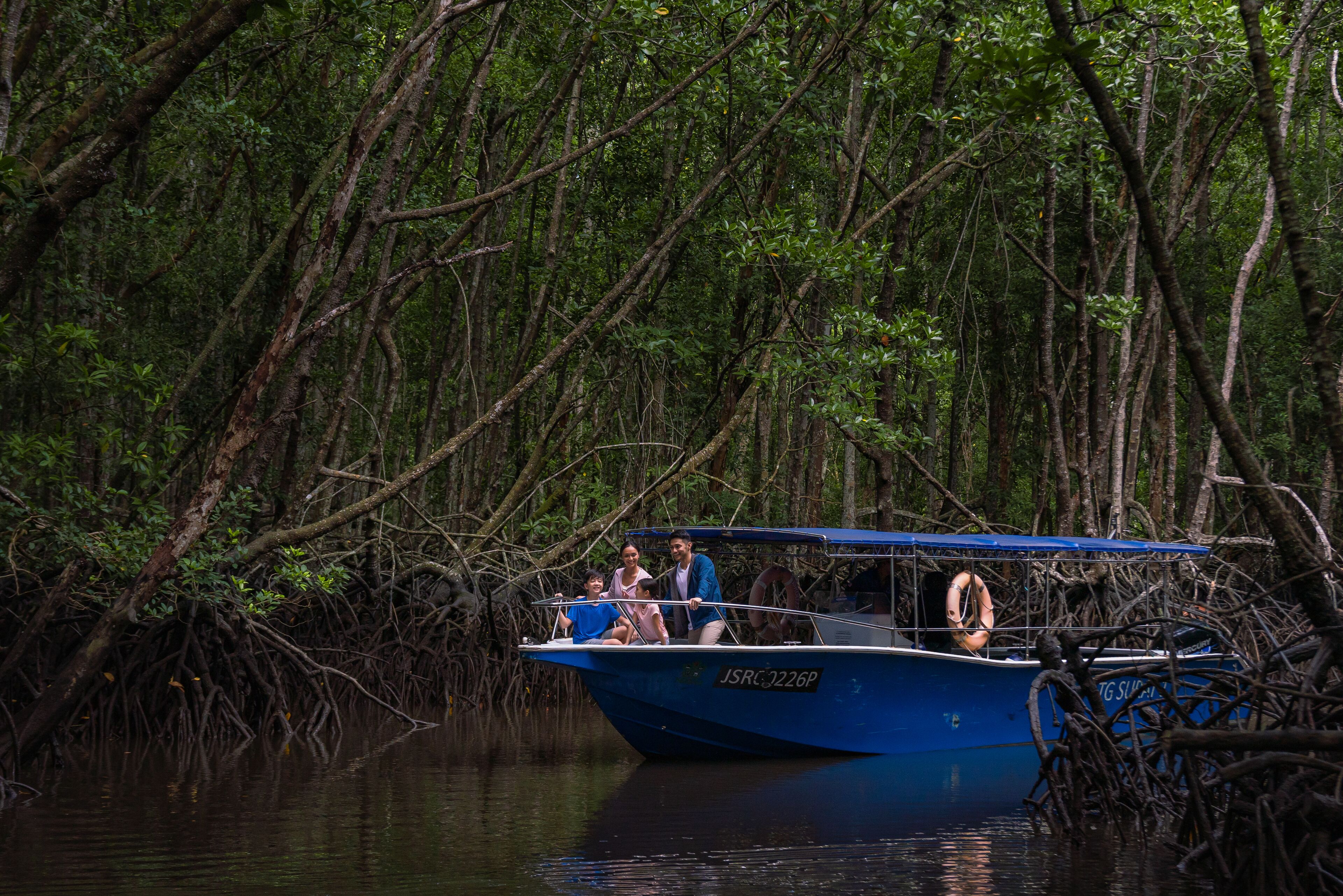 Een boot vol mensen, omringd door dichte mangrovebomen.