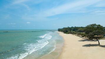 A beach with clear turquoise waters, a sandy shore, and a line of trees.