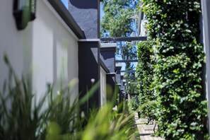 A narrow pathway flanked by lush greenery and a modern building facade.