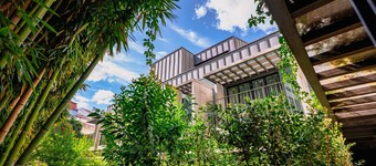 Jardim da Batalha by Shiadu