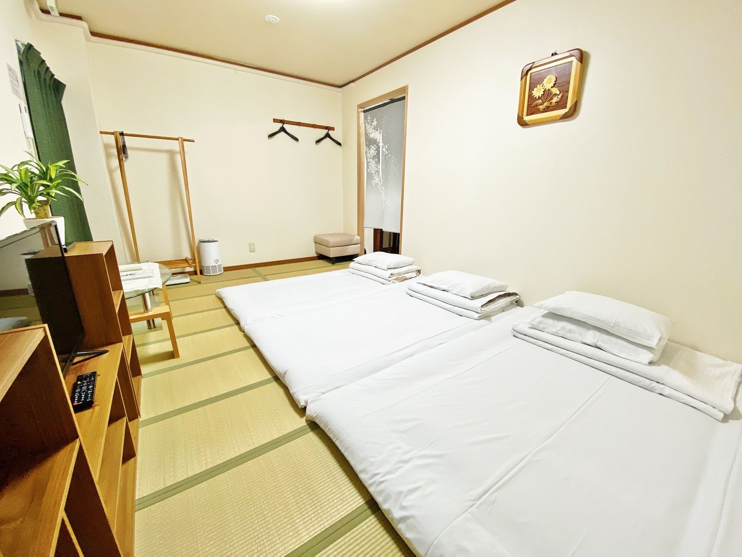 A hotel room with two beds, a TV, a plant, and a window with a view.