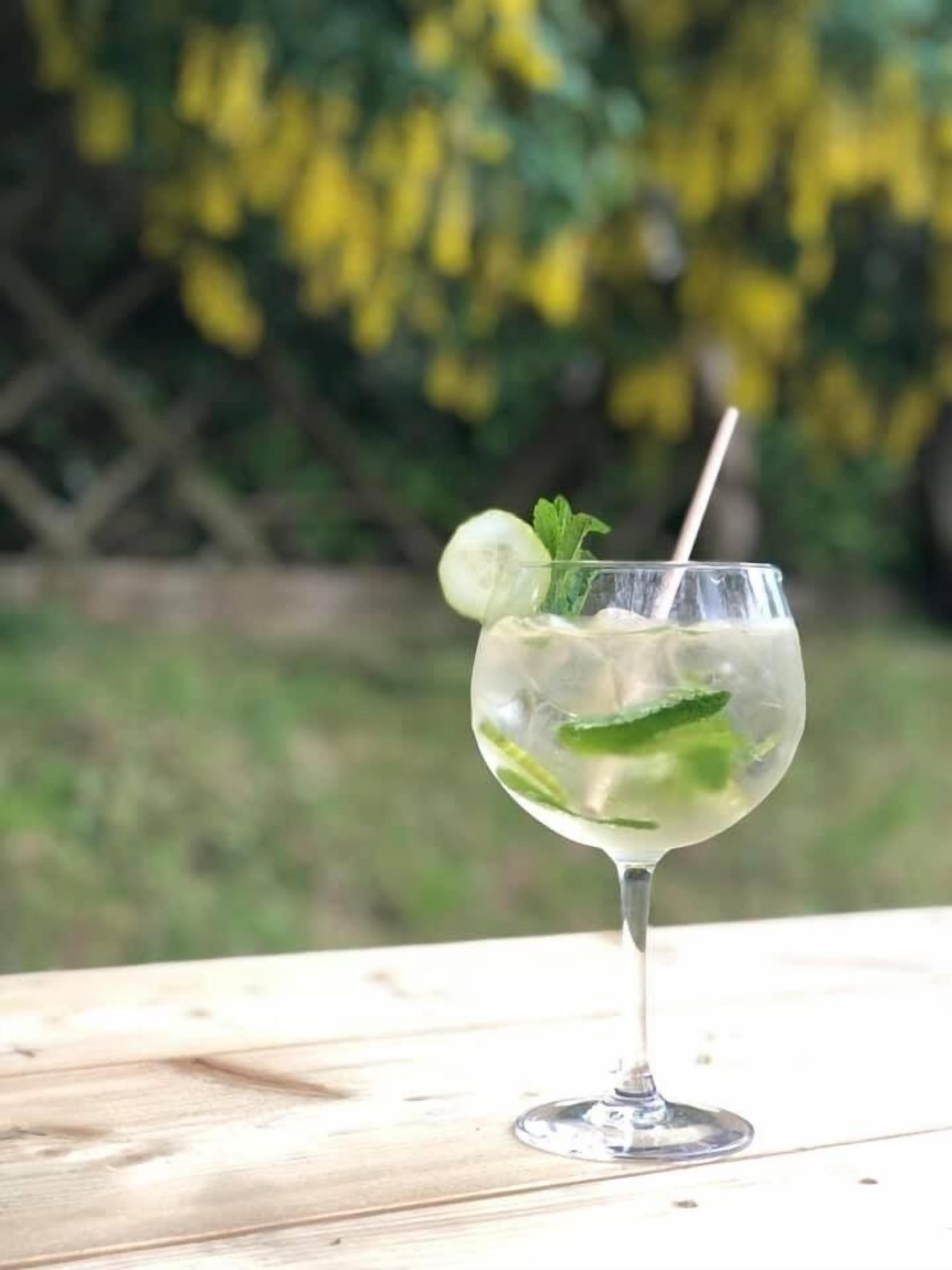 Un vaso transparente con pajita, conteniendo una bebida con hielo y hojas de menta, sobre una superficie de madera con un fondo borroso de vegetación.
