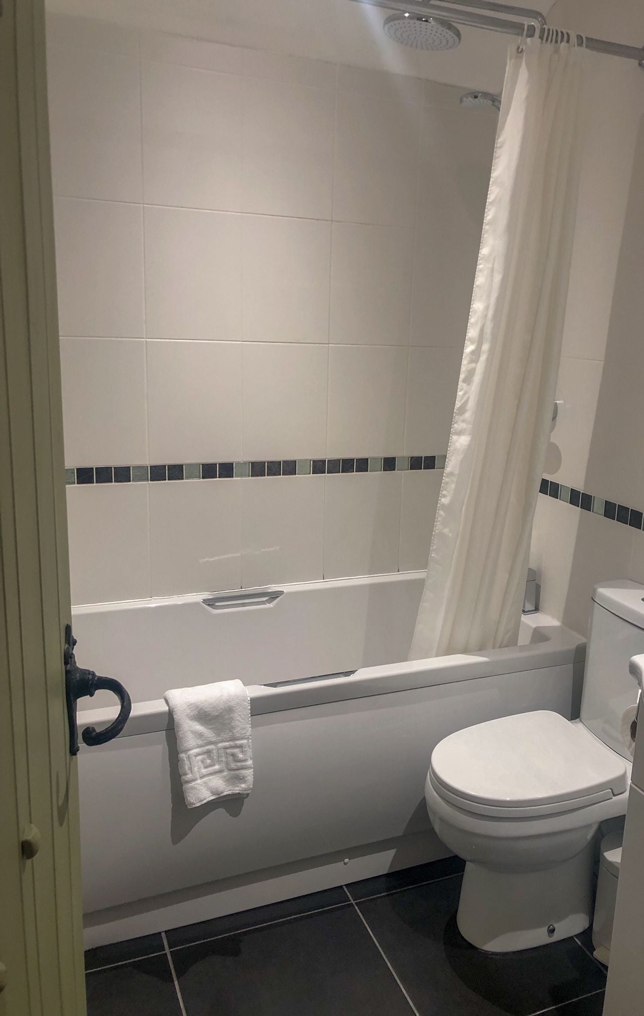 A bathroom with a bathtub, toilet, and a shower curtain.