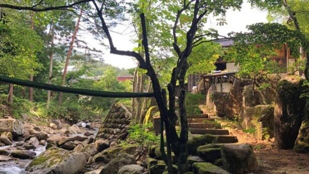 Jardín japonés