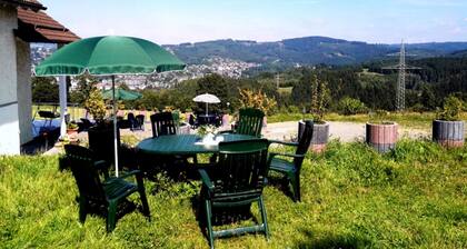 3 Zimmer-Apartment mit Weitblick