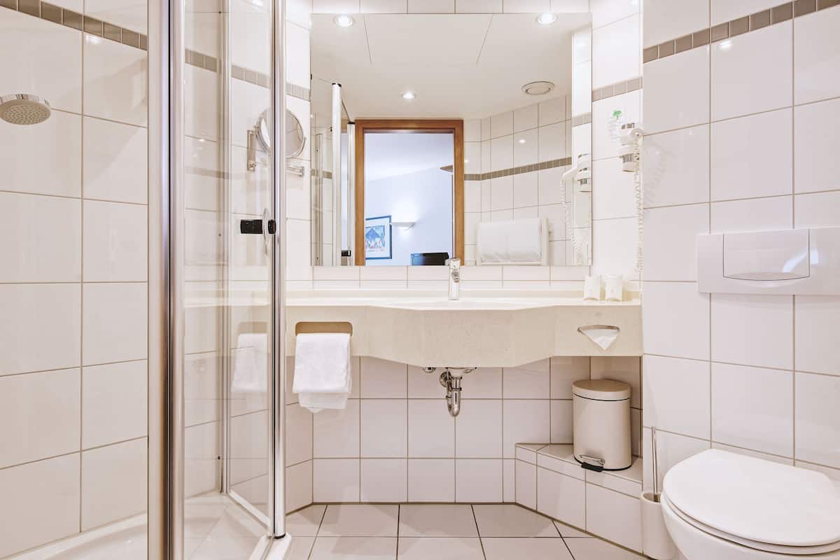 shower, free toiletries, hair dryer, towels