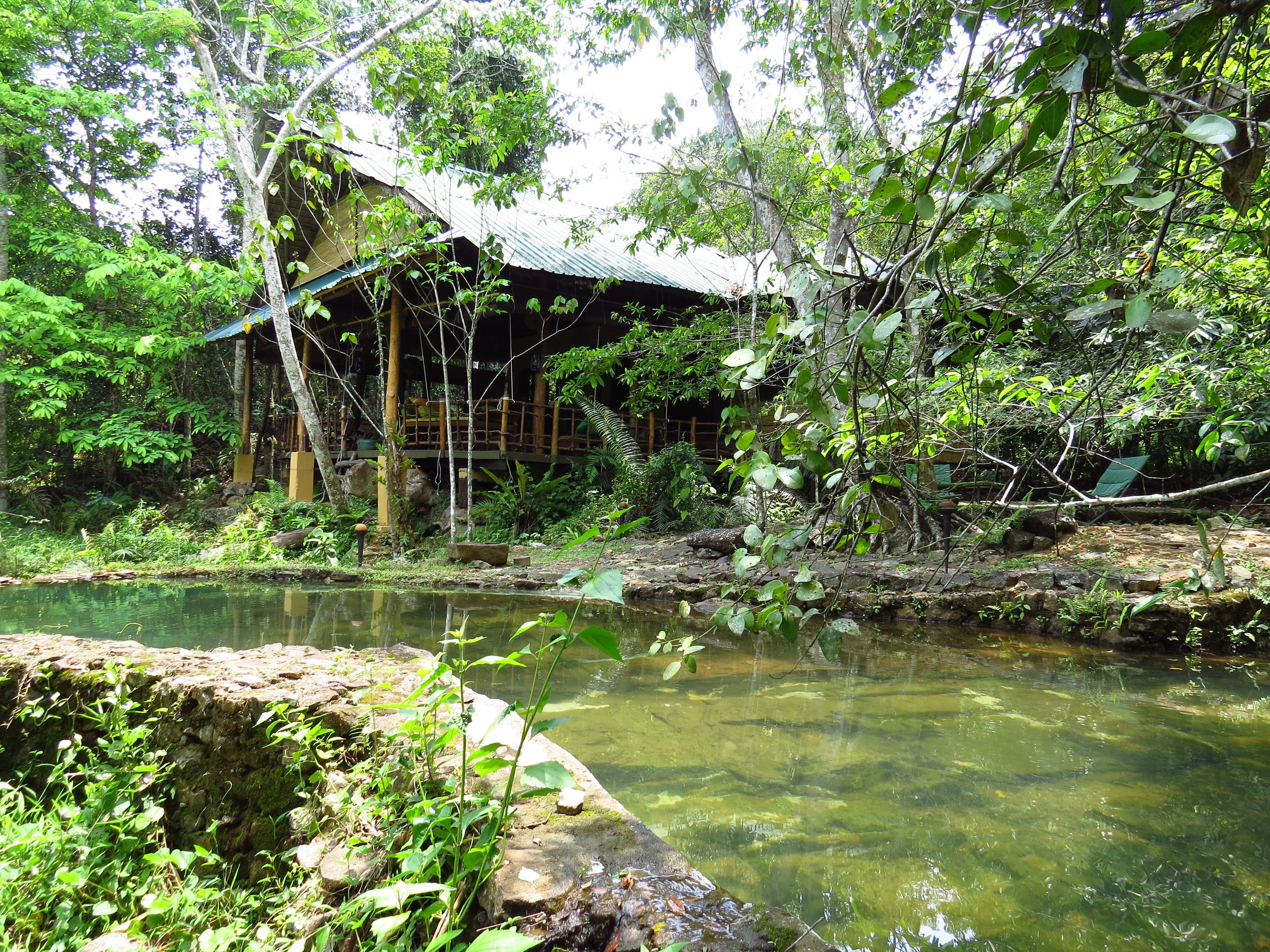 2 outdoor pools, a natural pool