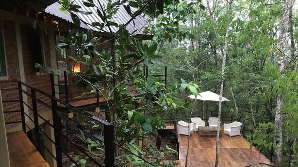 Um deck de madeira com mobiliário de exterior, rodeado por uma floresta densa.