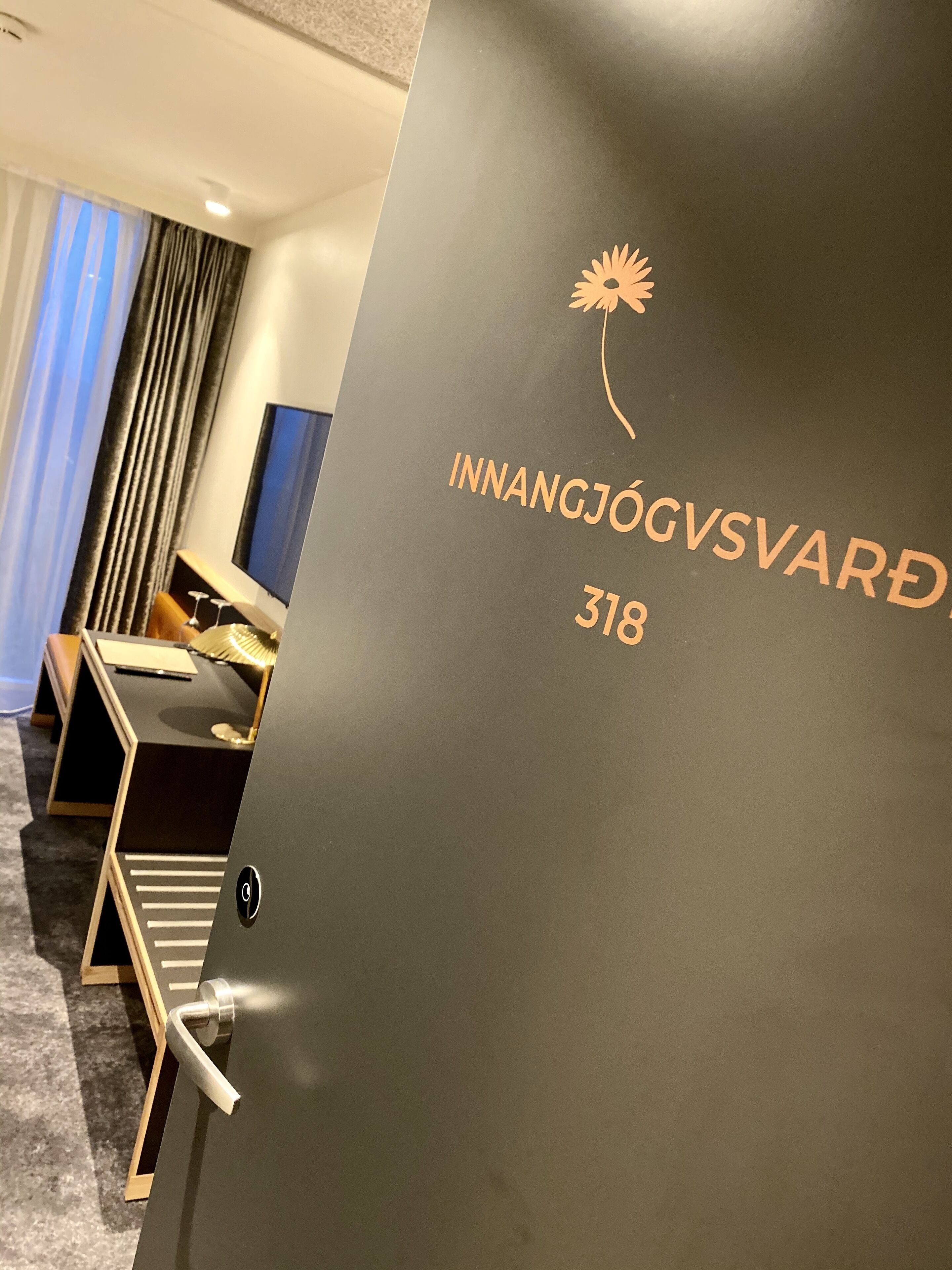 1 bedroom, hypo-allergenic bedding, minibar, desk