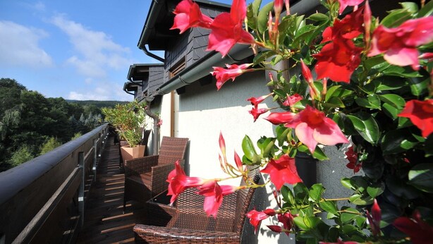 A balcony with wicker furniture and red flowers, overlooking a forested area. - Obere Mühle (Bad Elster)