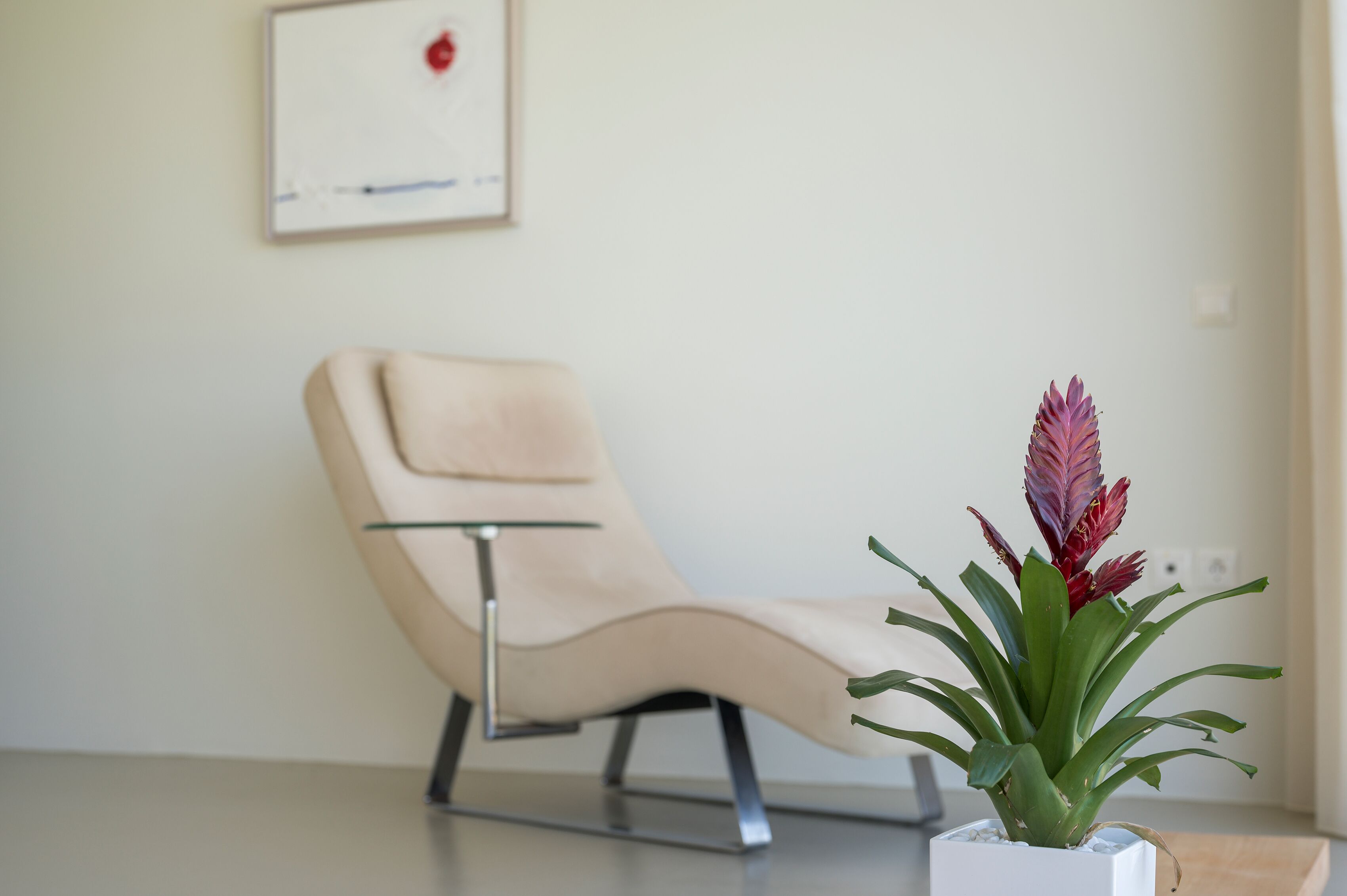 Una silla moderna con una mesa de vidrio a su lado, una maceta con hojas verdes y flores rojas, y un cuadro en la pared.