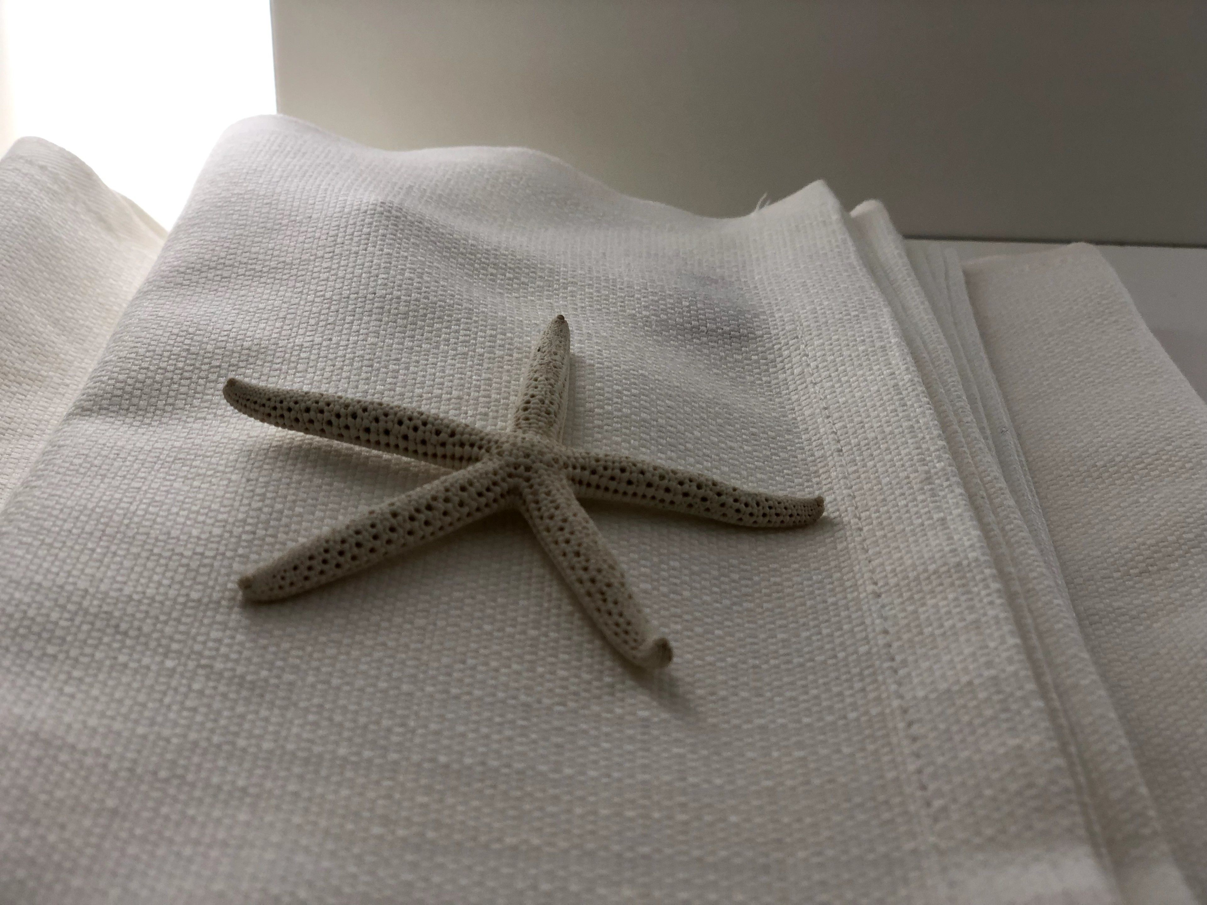 A starfish on a textured white surface.