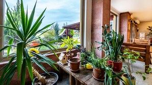 A room with large windows, a wooden bench, and various potted plants. - Helen Troya Hotel Geyikli (Ezine)
