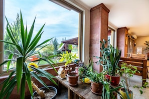 Una habitación con ventanas amplias, un banco de madera y varias plantas en macetas.