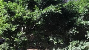 Unclassified image, 3 of 37, button - Caesar hostel (Alexandria)