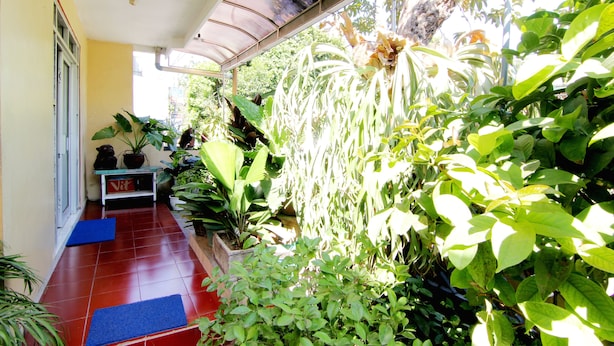 Garden - Batik Trinidar Homestay (Yogyakarta)