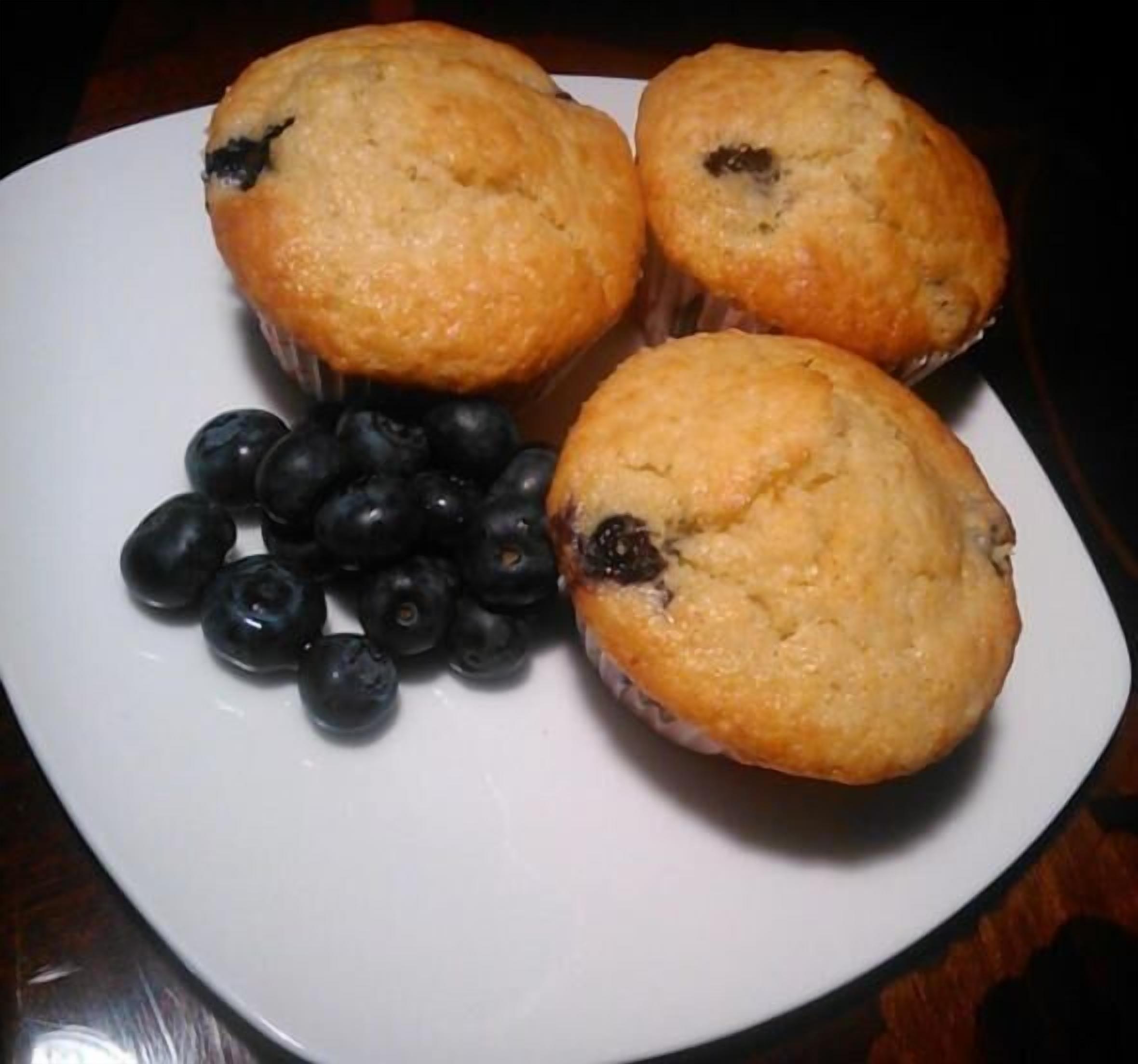 Three muffins on a white plate with a group of blueberries.