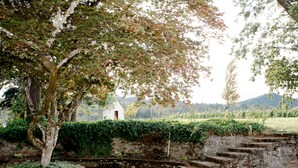 A stone staircase leading up to a white building with a bell tower, surrounded by greenery and a view of hills. - Hummingbird Estate Wine & Suites (Central Point)