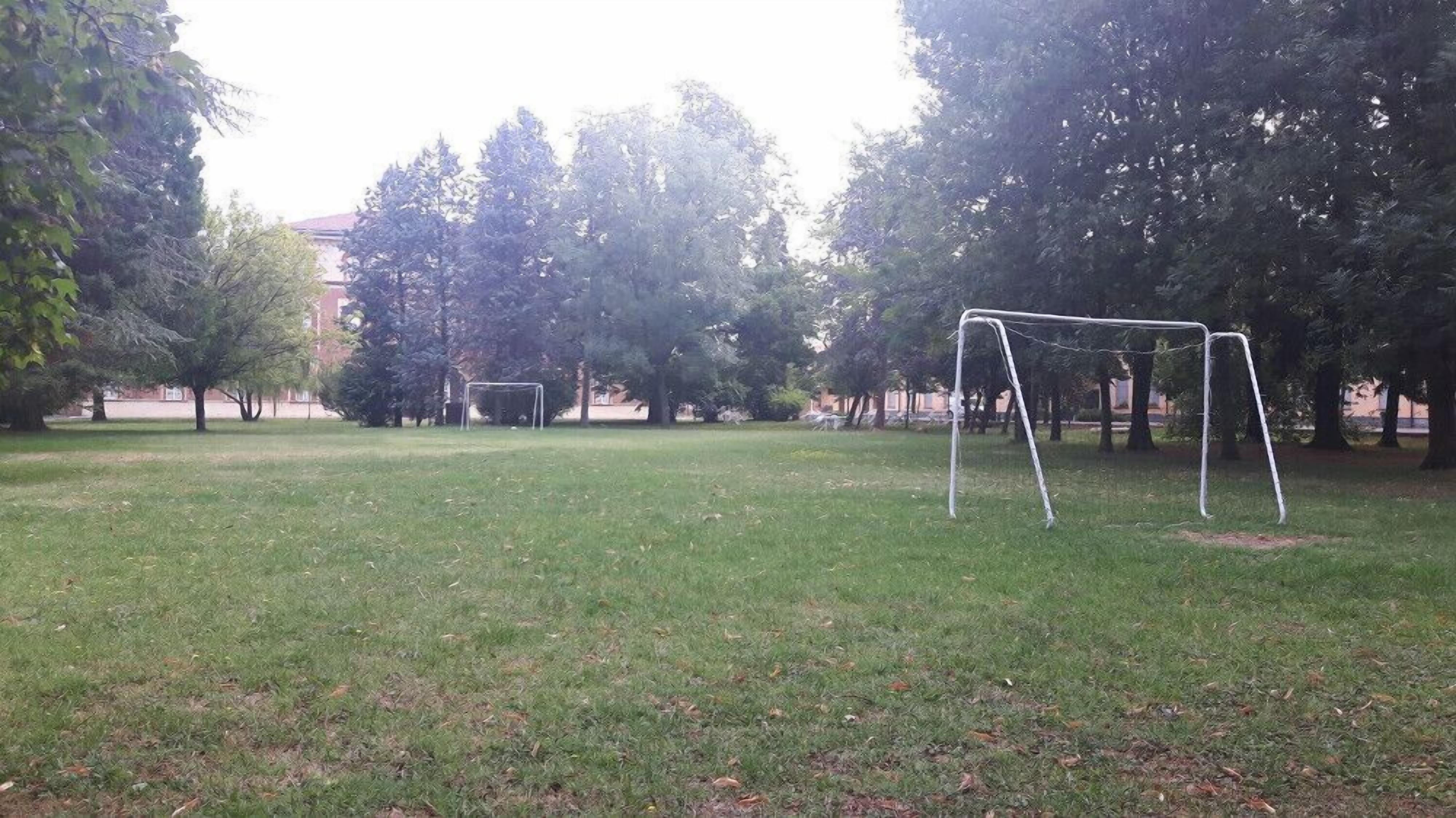 A grassy park with a soccer goal and trees.