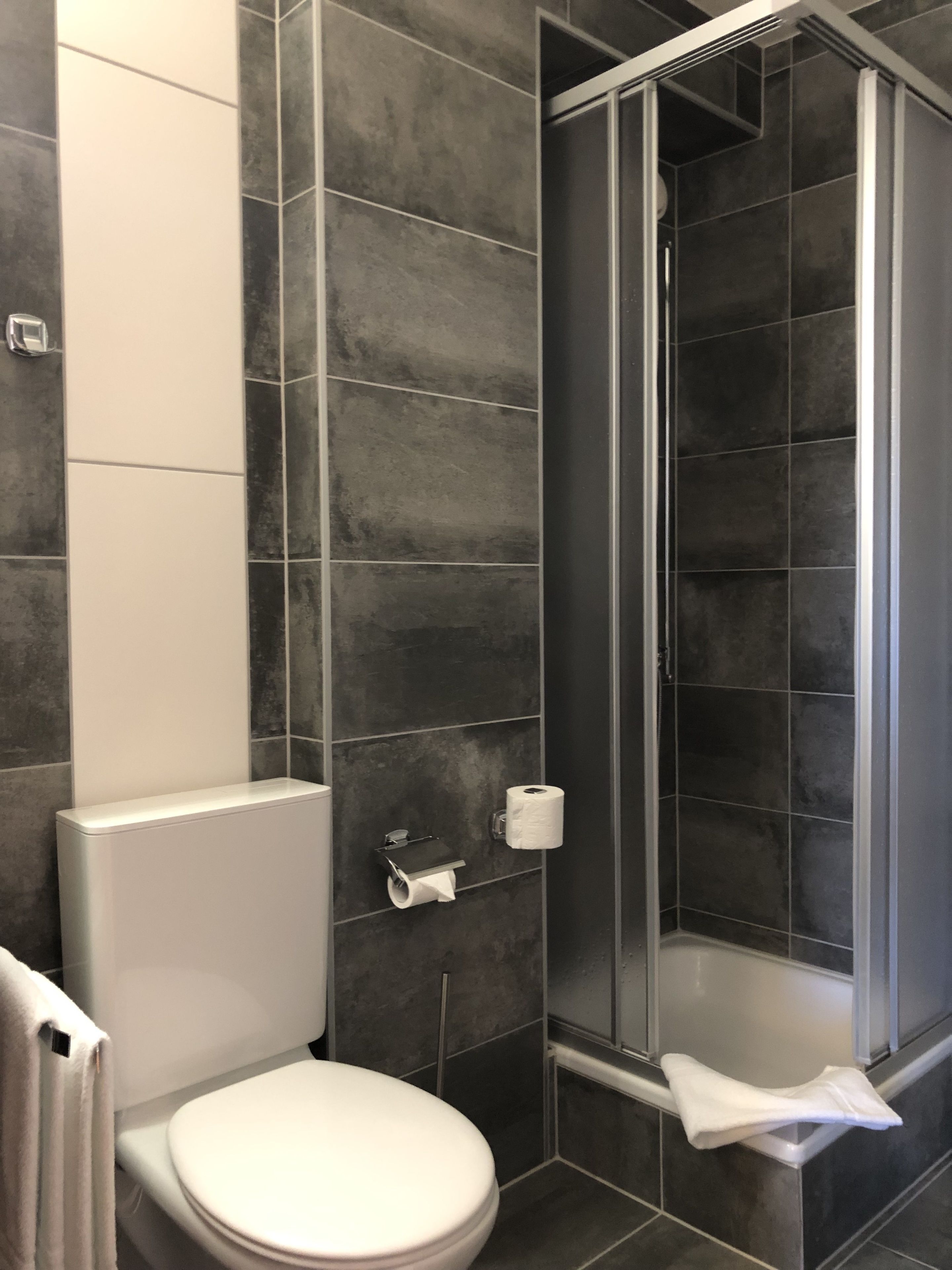 A modern bathroom with a toilet, a towel rack, and a shower area.