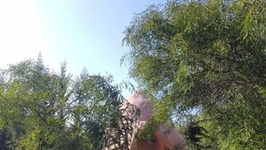 Zona de desayunos