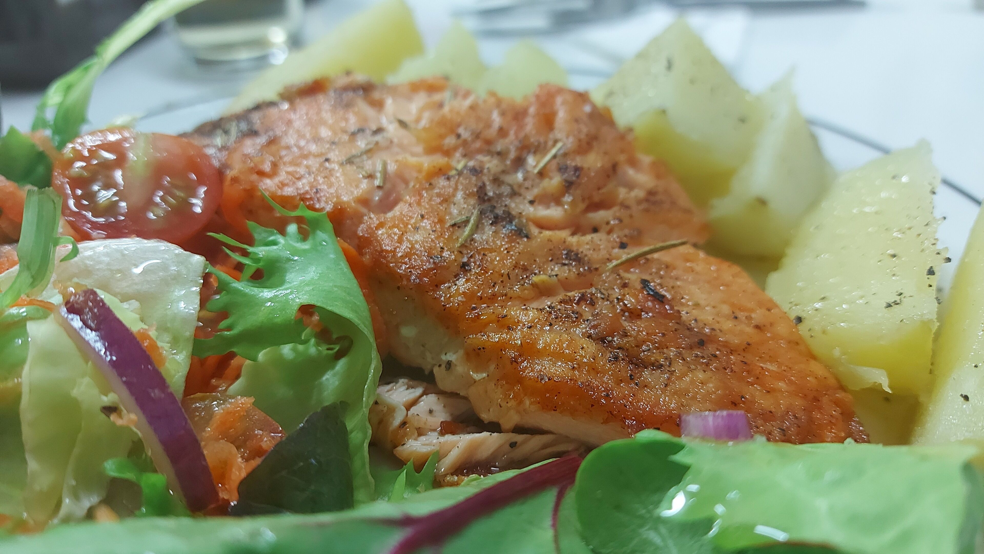 A plate of grilled fish with a side salad.
