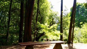 A wooden bench in a forested area with trees and sunlight filtering through. - Hostal Louro (O Porrino)